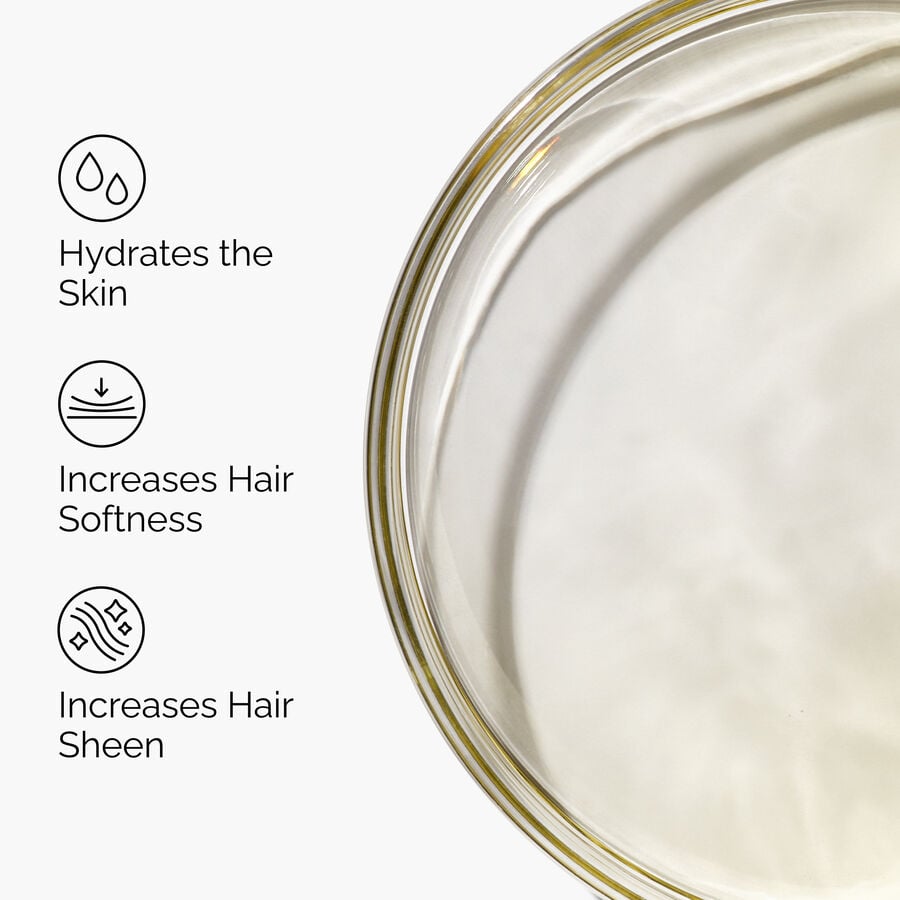 100-organic-cold-pressed-moroccan-argan-oil-l7 FY25-D41247-ORD-Web-PDP-100-Argan-Oil-1x1-EN-3.jpg