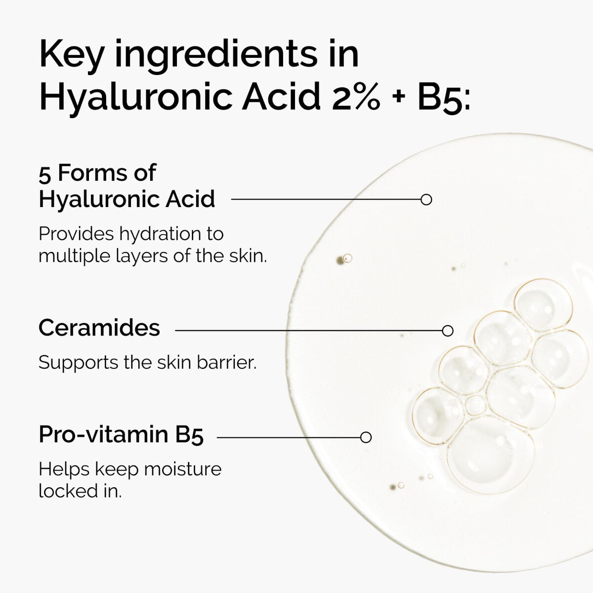 hyaluronic-acid-2-b5-with-ceramides-e6 ord-hyaluronic-acid-2pct-b5-hydrating-serum-ingredients-graphic.jpg
