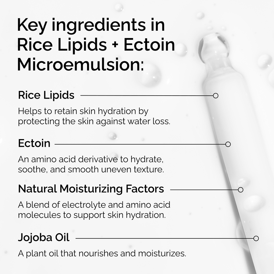 rice-lipids-ectoin-microemulsion-a6 ord-rice-lipids-ectoin-microemulsion-key-ingredients.png