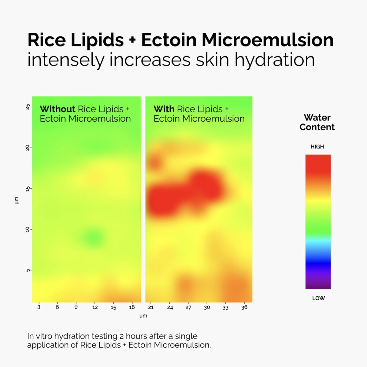 rice-lipids-ectoin-microemulsion-a6 ord-rice-lipids-ectoin-microemulsion-thermal-before-after.jpg